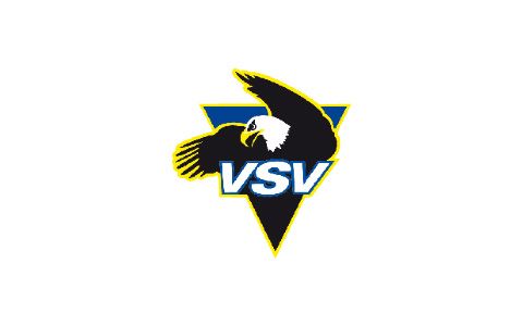 VSV Logo