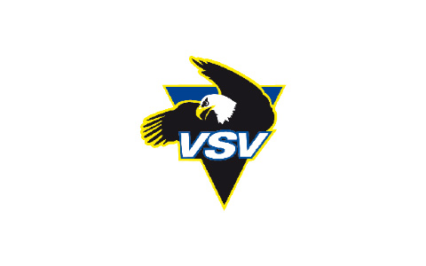 VSV Logo